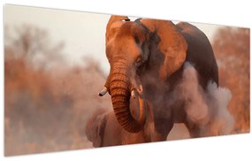 Obraz - Veľký slon africký (120x50 cm)