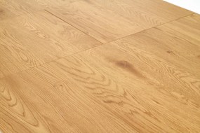 Jídelní rozkládací stůl Talo 160/200 cm dub craft zlatý/černý