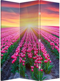 Paraván - Pole tulipánov so slnkom (126x170 cm)