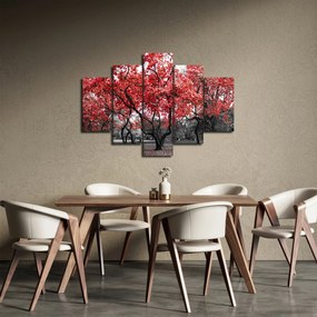 Obraz - Červené stromy, Central Park, New York (150x105 cm)