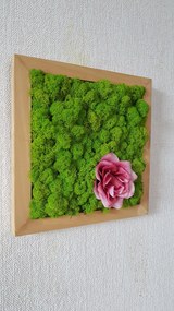 Machový obraz s kvetom ruže 40cm x 40cm