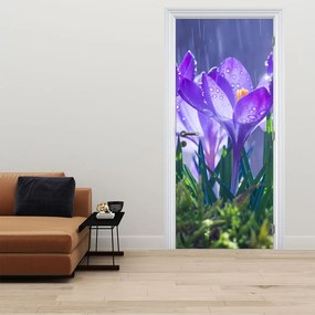 Fototapeta na dvere - Kvety v daždi (95x205cm)