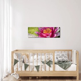 Obraz - Lekno (s hodinami) (90x30 cm)