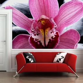 Sablio Tapeta Ružová orchidea - 208x125 cm