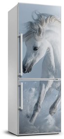 Samolepiace nálepka na chladničku Biely kôň FridgeStick-70x190-f-118288885