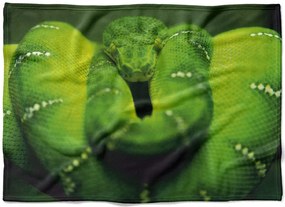 Deka Zelený had  (Rozmer: 150 x 120 cm, Podšitie baránkom: NE)