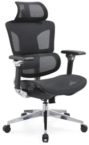 Ergonomická kancelárska stolička Ergo Optimus čierna Mesh, 5D podrúčky, bedrová opierka
