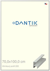 DANTIK rám na obraz 70x100 | ALU Stříbrná matná (Plexi Čiré)