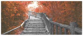 Obraz - Schody v prírode, oranžová (120x50 cm)