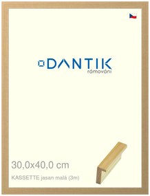DANTIK rám na obraz 30x40 | KASSETTE jasan malá (Plexi Čiré)