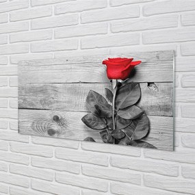 Obraz plexi Rose 140x70 cm