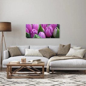 Obraz - kvety tulipánov (120x50 cm)