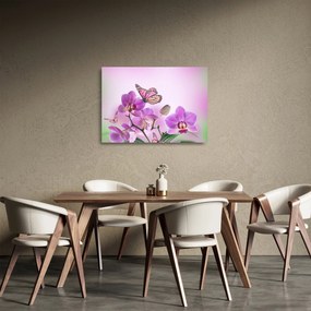 Sklenený obraz - Motýľ na kvetoch orchidey, lila (70x50 cm)