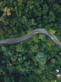 Umelecká fotografie Green road up the mountain in the rainy season, ArtRachen01, (30 x 40 cm)