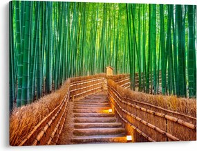 Obraz - Japonský bambusový les (70x50 cm)