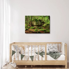 Sklenený obraz čarovného lesa (70x50 cm)