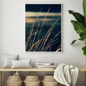 Plagát - Detail vodnej trávy (A4)