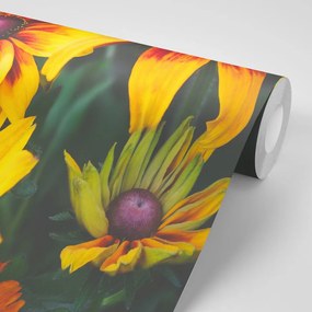 Samolepiaca fototapeta dvojfarebné kvety