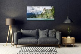 Obraz plexi Zámok v horách les príroda 100x50 cm