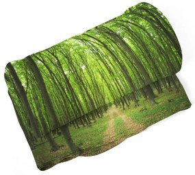 Sablio Deka Cesta v lese - 150x120 cm