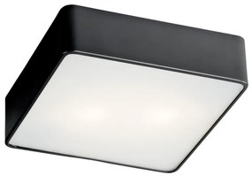 Argon 654 - Stropné svietidlo ONTARIO 2xE27/15W/230V