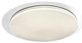 LED Stmievateľné stropné svietidlo ONTARIO LED/24W/230V 3000-6000K + DO
