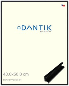 DANTIK rám na obraz 40x50 | ALU Černá matná (Sklo Čiré)