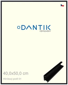 DANTIK rám na obraz 40x50 | ALU Černá matná (Sklo Čiré)