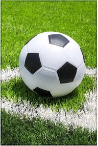 Jerry Fabrics Fleecová deka s motívom Futbal - 100 x 150 cm