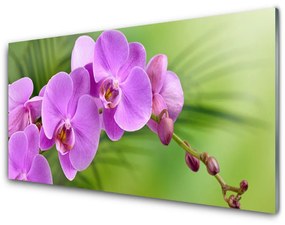 Obraz plexi Vstavač orchidea kvety 125x50 cm