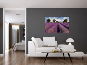 Obraz - Levanduľové pole a hory (90x60 cm)
