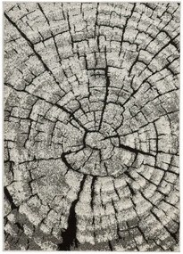 Koberce Breno Kusový koberec PHOENIX 6021 - 0244, hnedá, viacfarebná,200 x 300 cm