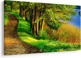 Obraz chodníky pozdĺž vody (90x60 cm)