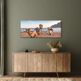 Obraz tiav (120x50 cm)