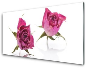 Obraz plexi Ruže kvety rastlina 100x50 cm