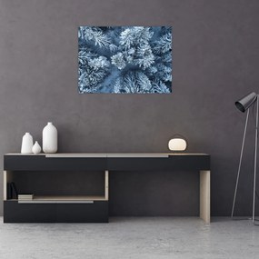 Sklenený obraz - Zasnežený les (70x50 cm)