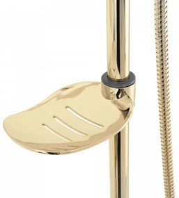 REA-P7006 - Sprchová súprava s batériou LUIS zlatá