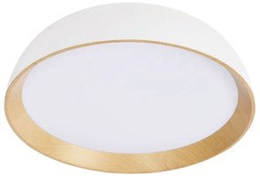 Candellux Biele LED stropné svietidlo Calabria s dreveným dekorom okrúhle 24W 14-24138