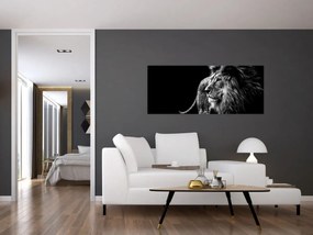 Obraz - Lev, čiernobiela (120x50 cm)