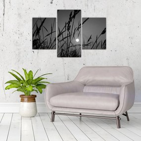 Obraz - Lúka so západom slnka (90x60 cm)