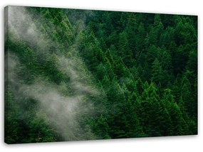 Obraz na plátně Zelený mlžný les Příroda - 90x60 cm