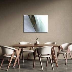 Obraz - Perie, makro (70x50 cm)