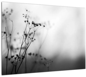 Sklenený obraz - Detail lúčnych kvetov (70x50 cm)