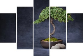 Obraz - Bonsai (150x105 cm)