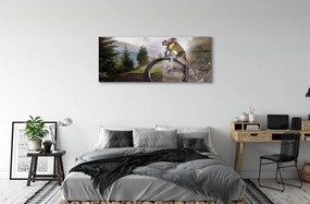 Obraz plexi Cloud na horskom bicykli 120x60 cm