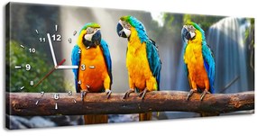 Gario Obraz s hodinami Farebné papagáje Rozmery: 30 x 30 cm