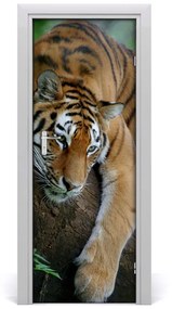 Samolepiace fototapety na dvere tiger na strome 75x205 cm