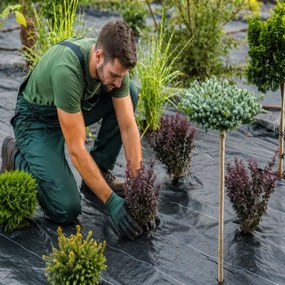Čierna agrotextília proti burine 1 × 50 m, 70 g/m²