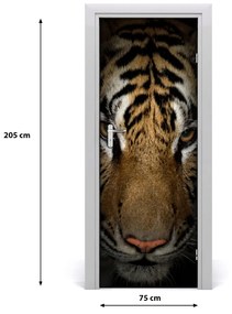 Samolepiace fototapety na dvere tiger 75x205 cm