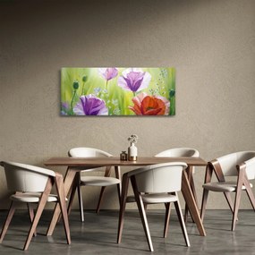 Obraz - Vlčie maky (120x50 cm)
